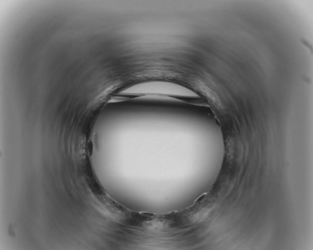 X0000095930356200801181445
