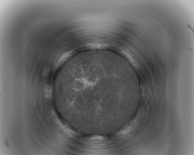X0000095930357200801181445