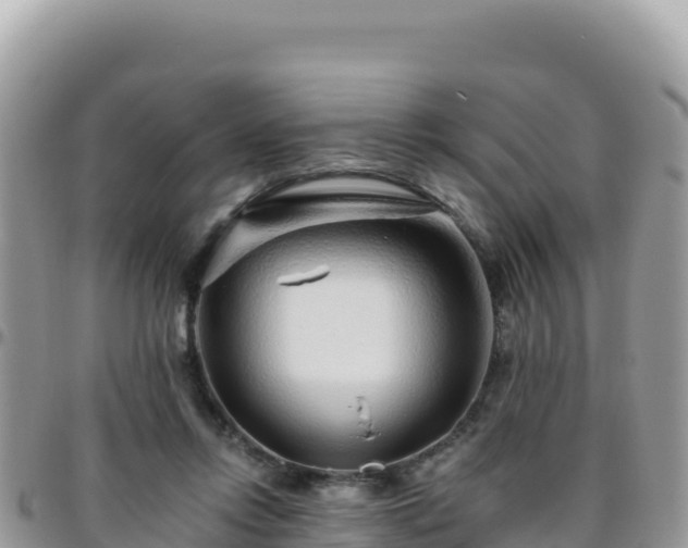 X0000095930358200801181445