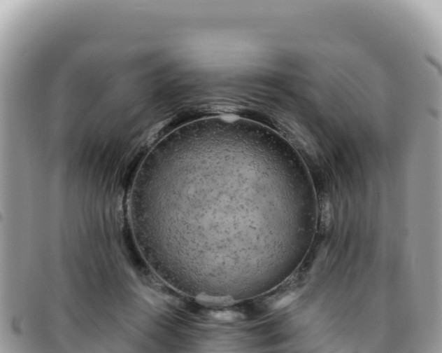 X0000095930360200801181445