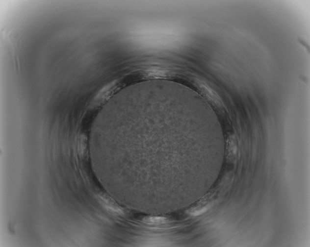 X0000095930361200801181445