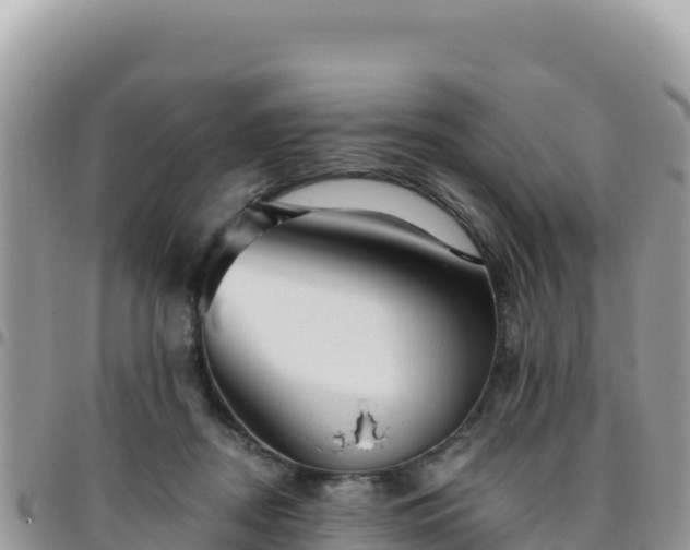 X0000095930362200801181445