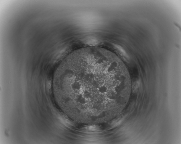 X0000095930365200801181445