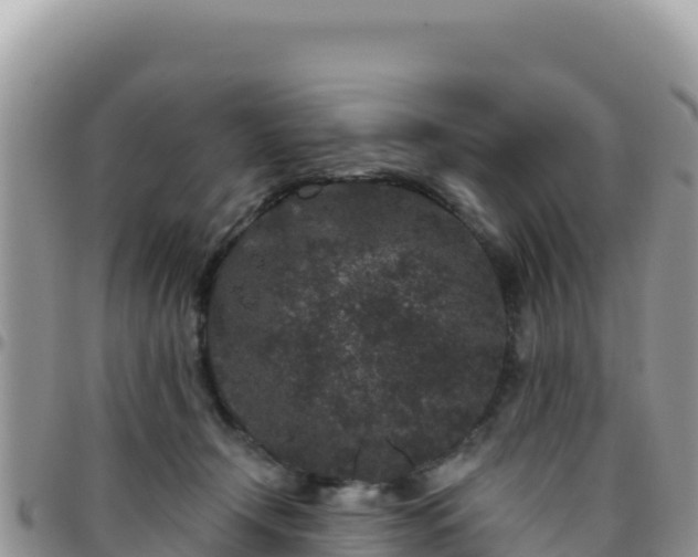 X0000095930366200801181445