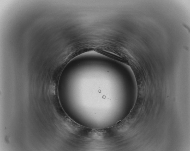 X0000095930368200801181445