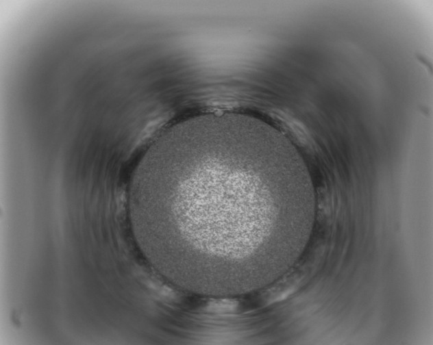 X0000095930369200801181445