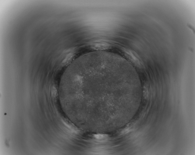 X0000095930371200801181445