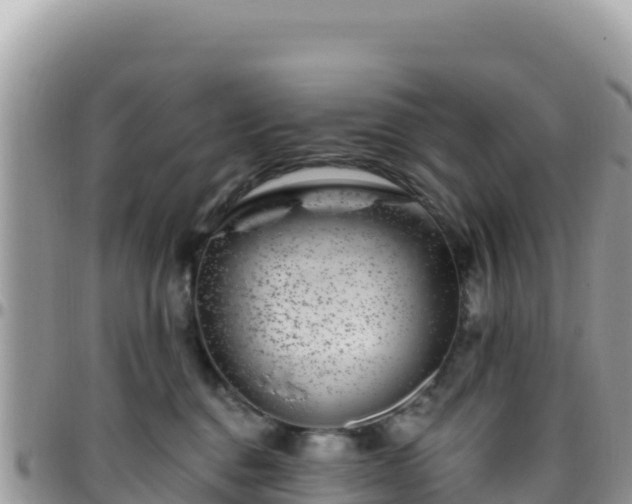 X0000095930376200801181445