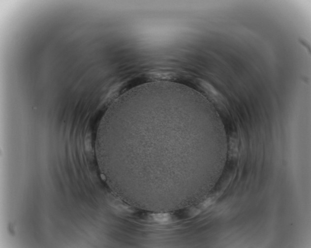X0000095930377200801181445