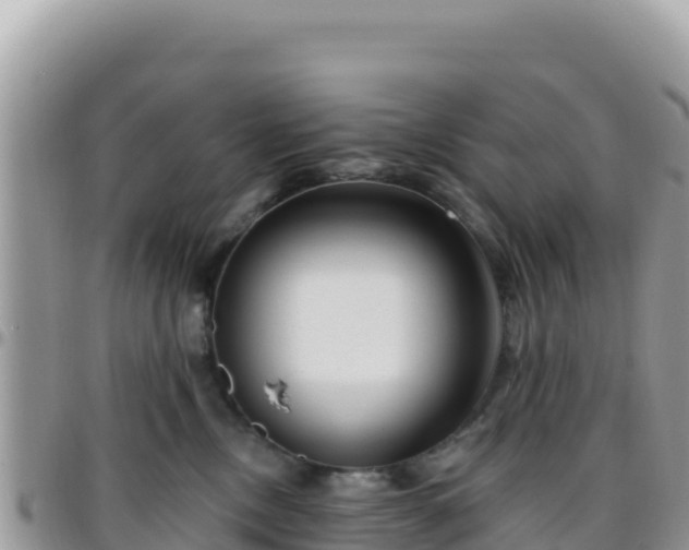 X0000095930378200801181445