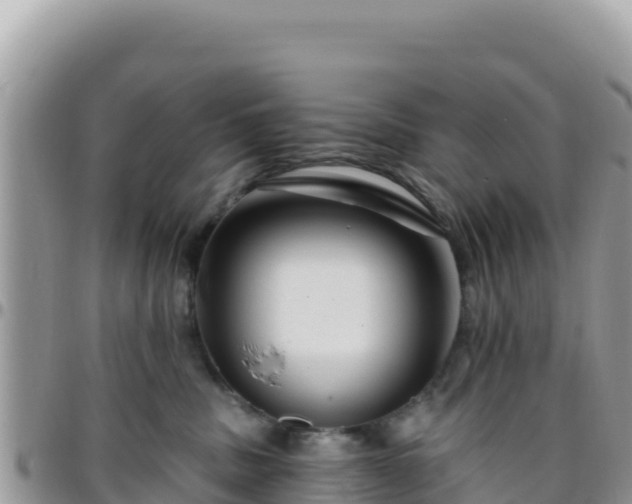 X0000095930379200801181445