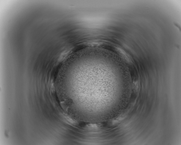 X0000095930381200801181445