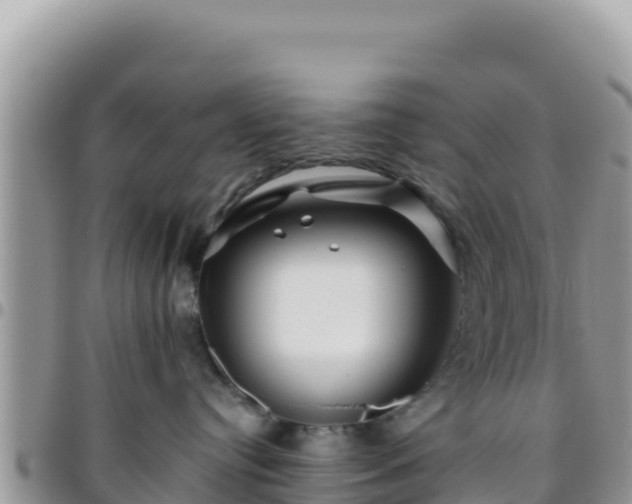 X0000095930384200801181445