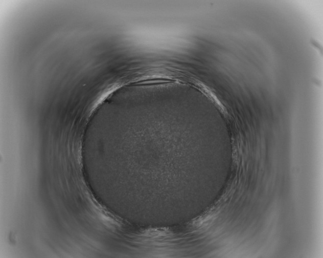 X0000095930386200801181445