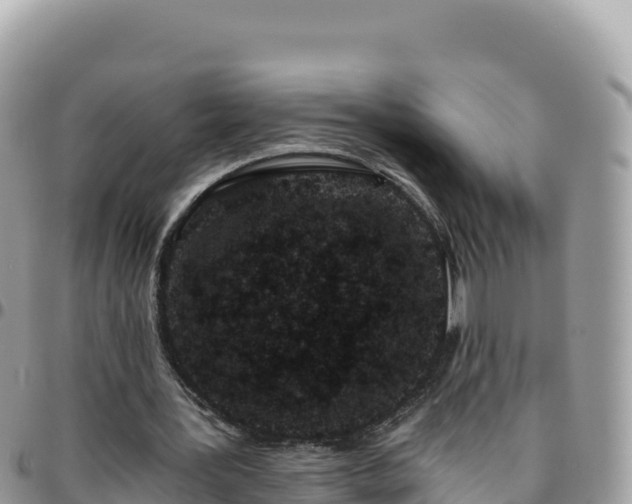 X0000095930387200801181445