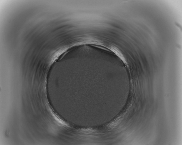 X0000095930389200801181445