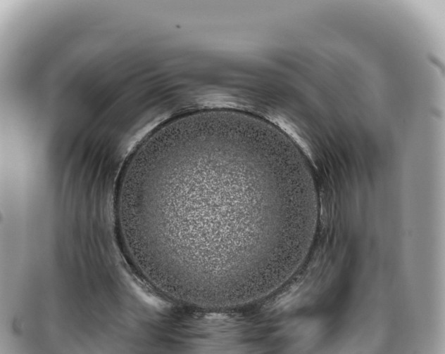 X0000095930390200801181445