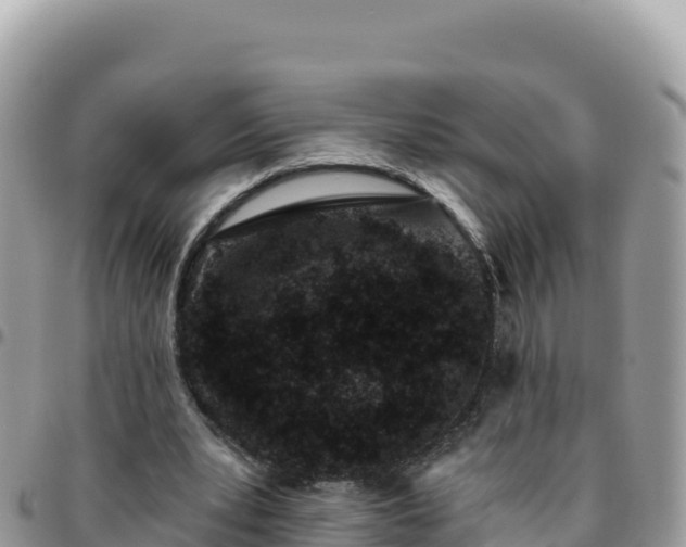 X0000095930391200801181445