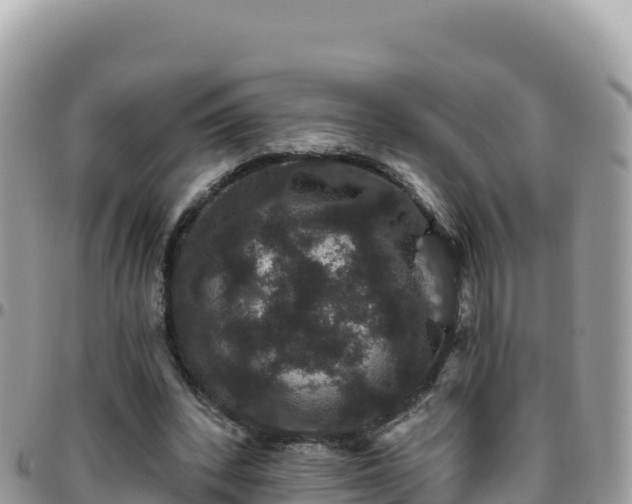 X0000095930392200801181445
