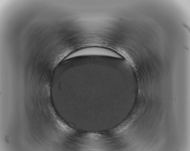 X0000095930393200801181445