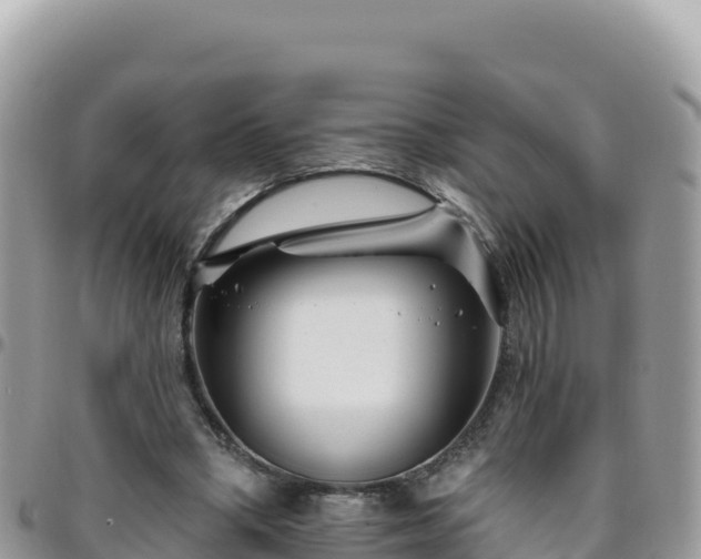 X0000095930394200801181445
