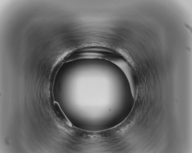 X0000095930395200801181445