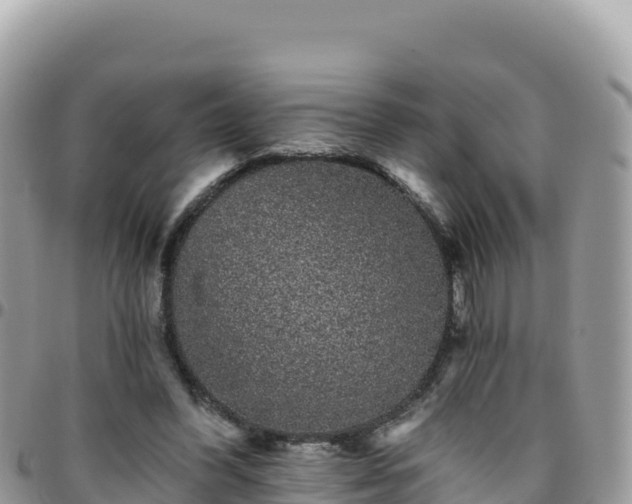 X0000095930396200801181445