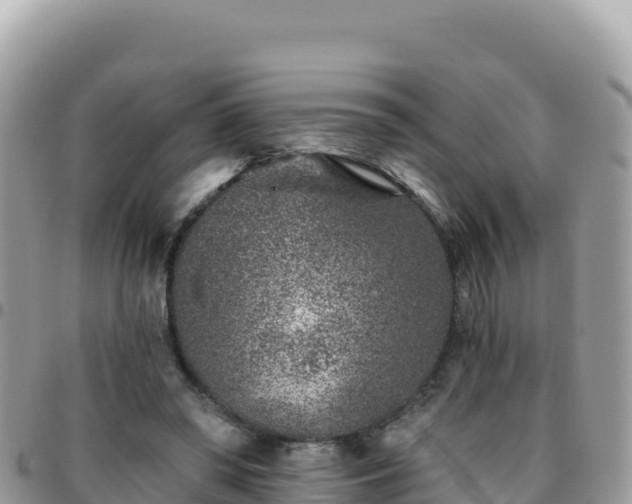 X0000095930398200801181445
