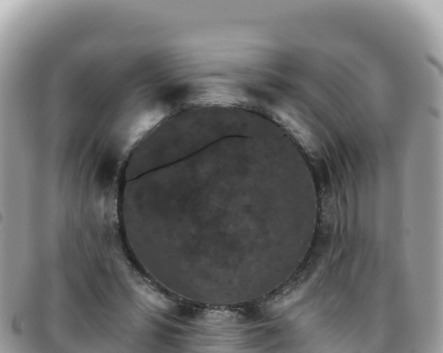 X0000095930399200801181445