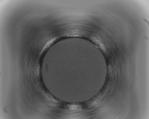 X0000095930400200801181445
