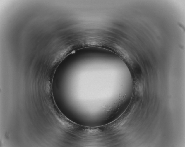 X0000095930401200801181445