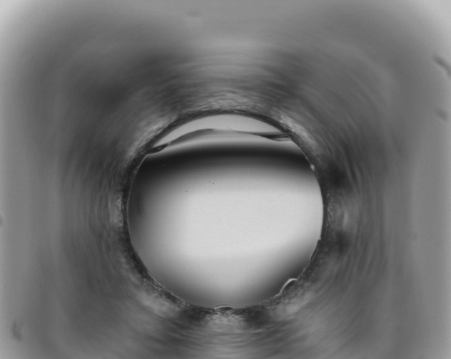 X0000095930403200801181444