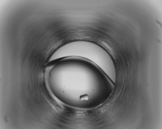 X0000095930405200801181444