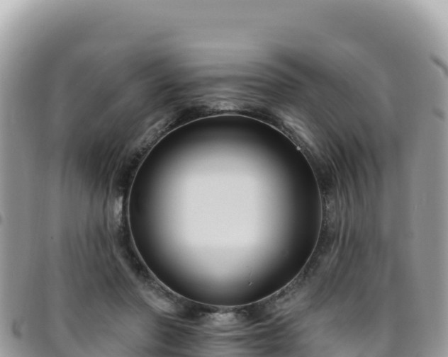 X0000095930406200801181444