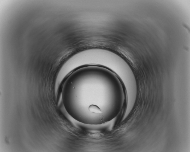 X0000095930407200801181444