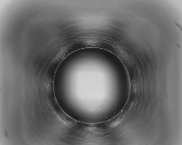 X0000095930408200801181444
