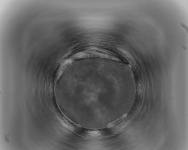 X0000095930409200801181444