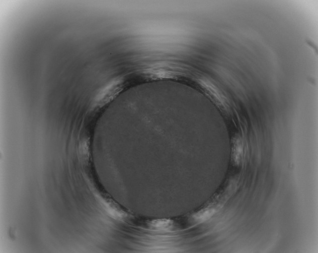 X0000095930410200801181444
