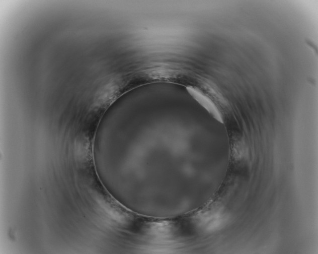 X0000095930411200801181444