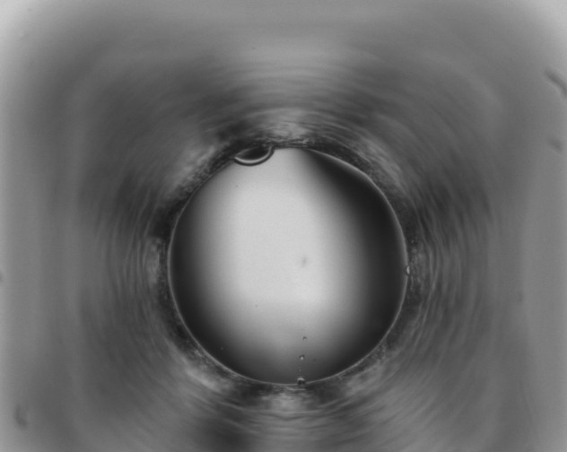X0000095930412200801181444