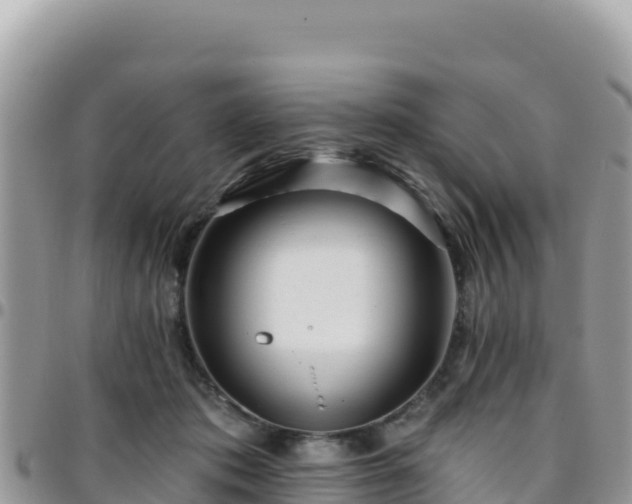 X0000095930413200801181444