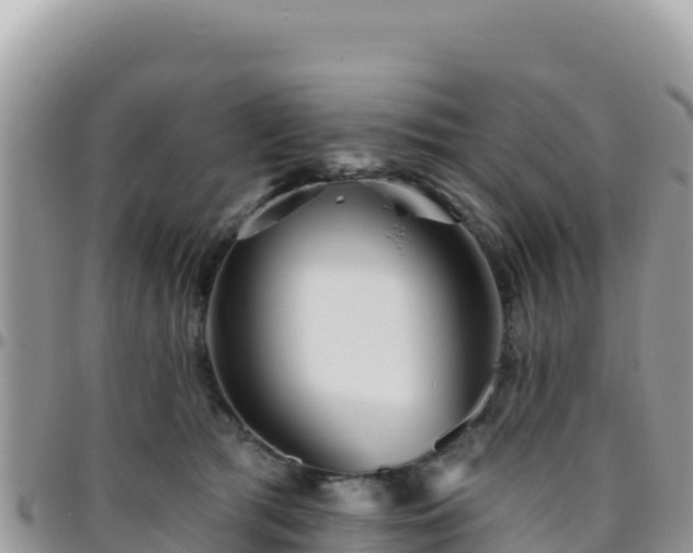 X0000095930417200801181444