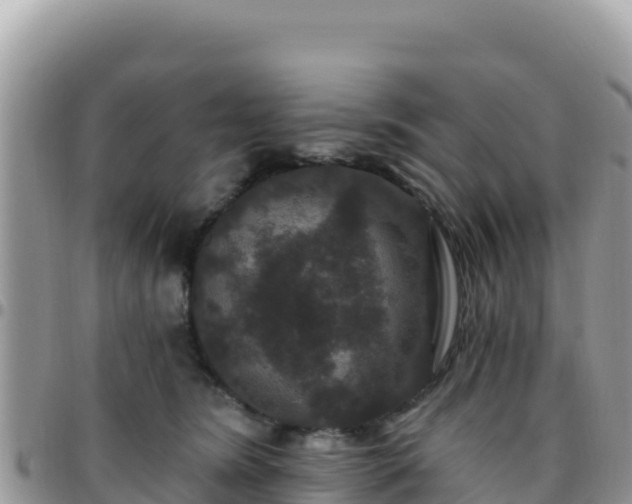 X0000095930420200801181444