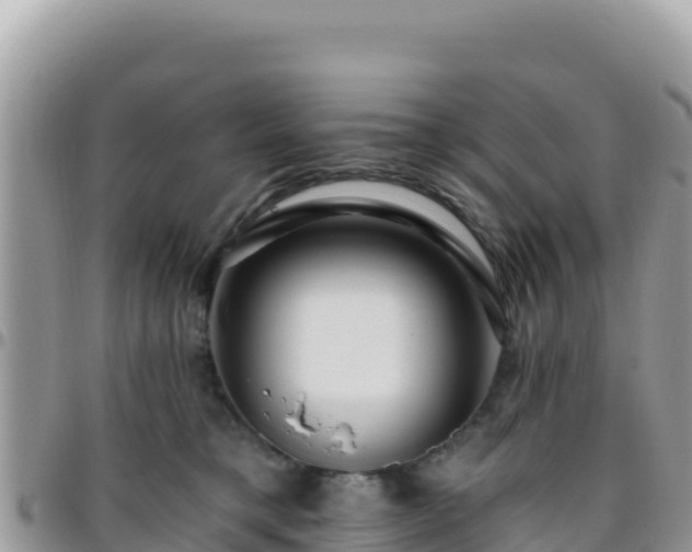 X0000095930421200801181444