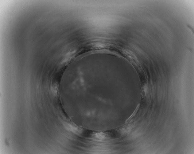 X0000095930423200801181444