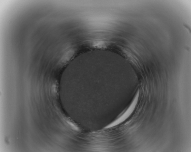 X0000095930424200801181444