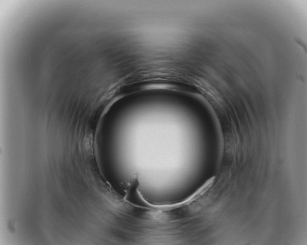X0000095930425200801181444