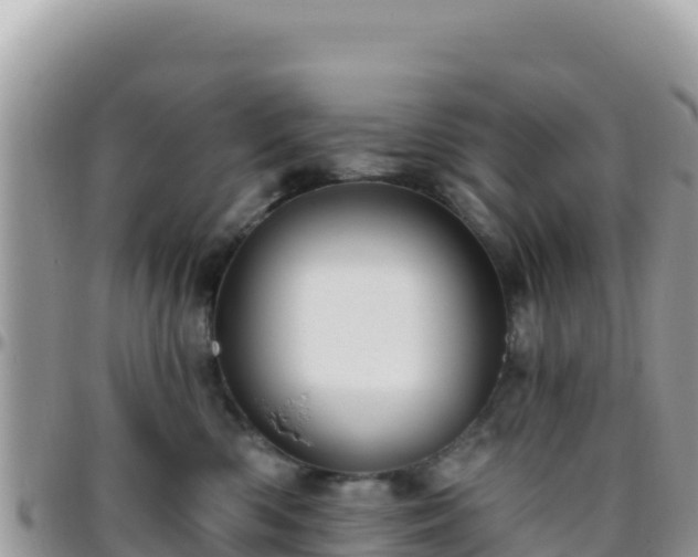 X0000095930426200801181444