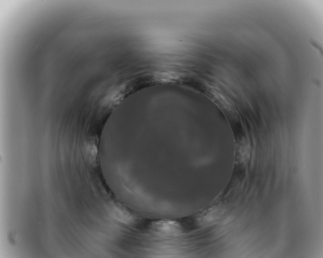 X0000095930427200801181444