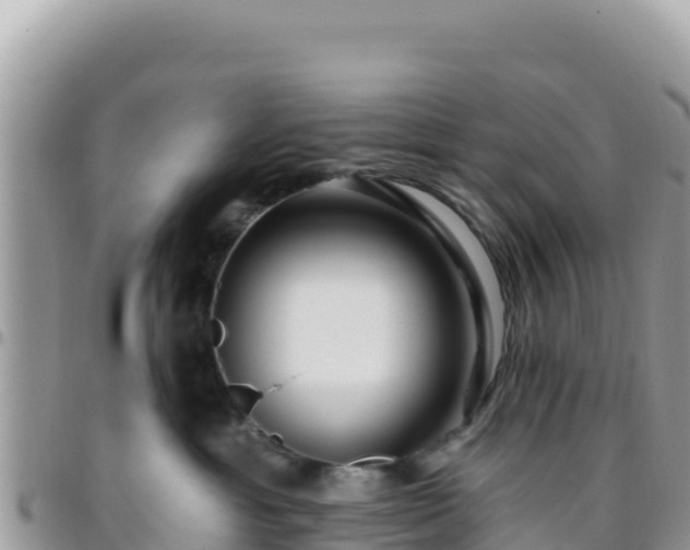 X0000095930429200801181444